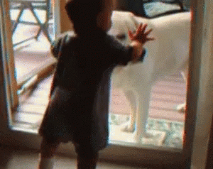 Dog Kid GIF - Dog Kid Window GIFs