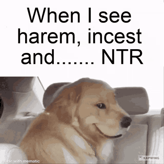 a dog is sitting in the back seat of a car with the caption " when i see harem incest and ... "