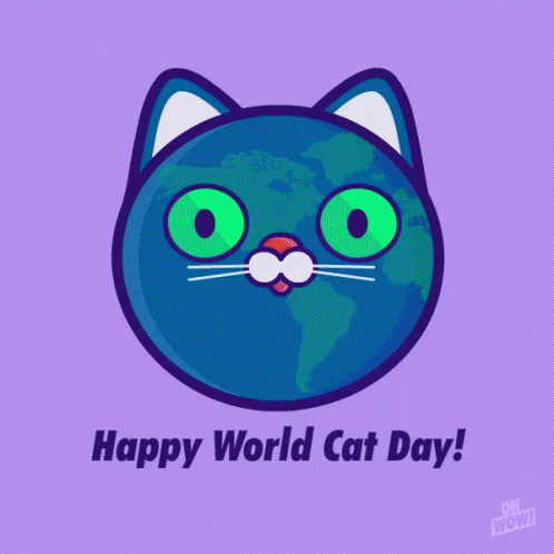 World Cat Day International Cat Day GIF