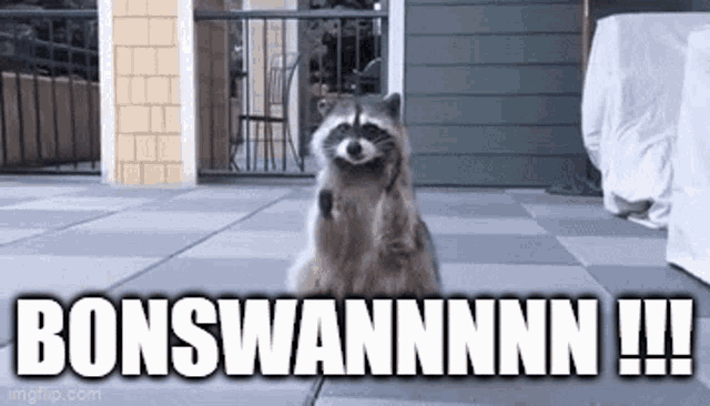 a raccoon is sitting on its hind legs on a patio with the words `` bonswannnn !!! '' written on it .