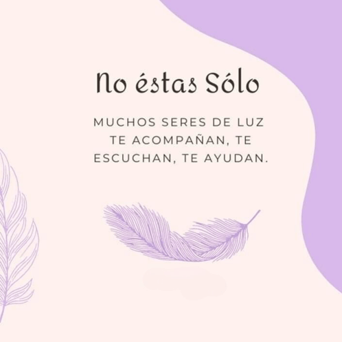 a purple feather is on a pink background with the words no estas solo on it