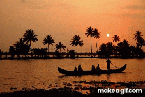 Kerala Tour Packages With Price Kerala Tour Packages From Delhi GIF - Kerala Tour Packages With Price Kerala Tour Packages From Delhi Cheap And Best Kerala Tour Packages GIFs