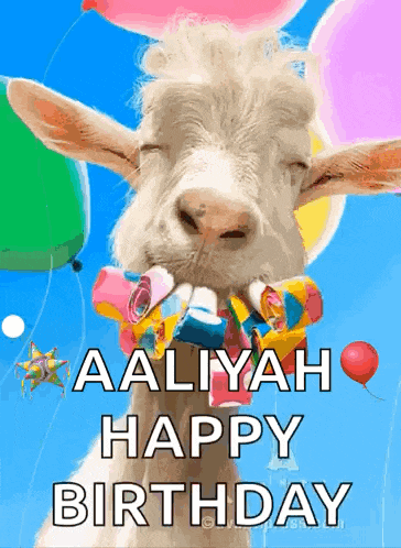 a goat with balloons in its mouth and the words aaliyah happy birthday