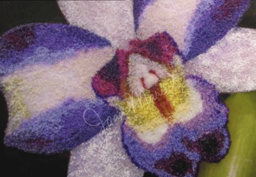Painting Orchids With Seed Beads GIF - Painting Orchids With Seed Beads GIFs