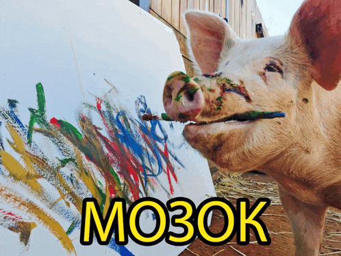 a pig with a brush in its mouth is standing in front of a painting that says мозок on the bottom