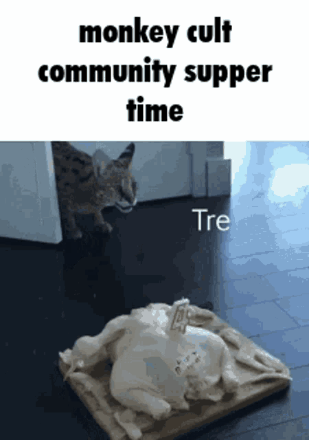 Monkeycult Dinner Time GIF