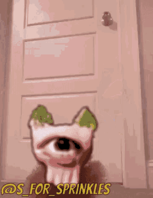 a picture of a door with sprinkles written on it