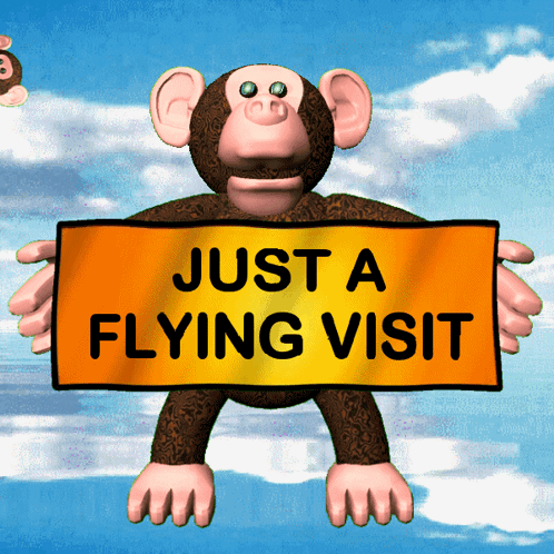 Just A Flying Visit A Quick Visit GIF - Just A Flying Visit A Quick Visit Popped In And Out GIFs