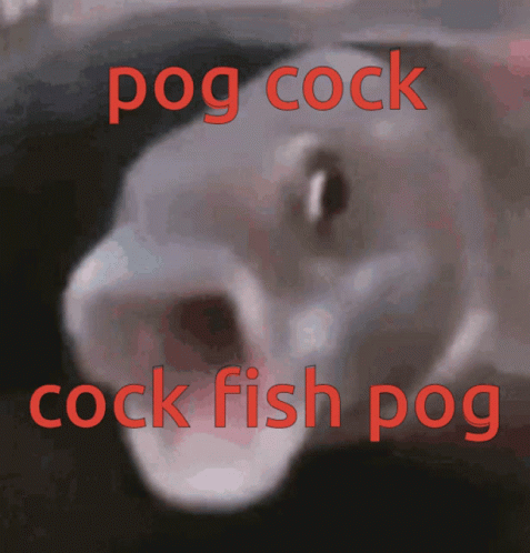 Pogfish GIF - Pogfish GIFs