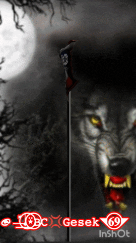 a picture of a wolf with the number 69 in the corner
