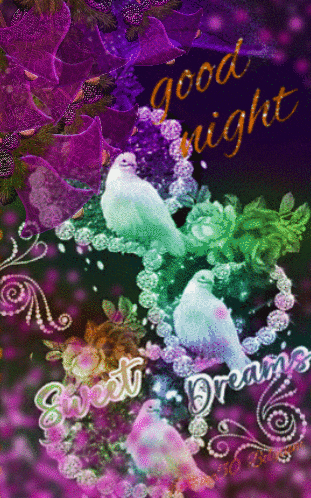 a picture of birds with the words good night sweet dreams on it