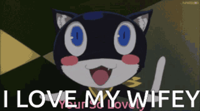 a picture of a cat with the words " i love my wifey " below it