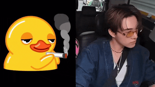 a picture of a duck smoking a cigarette next to a picture of a man wearing sunglasses