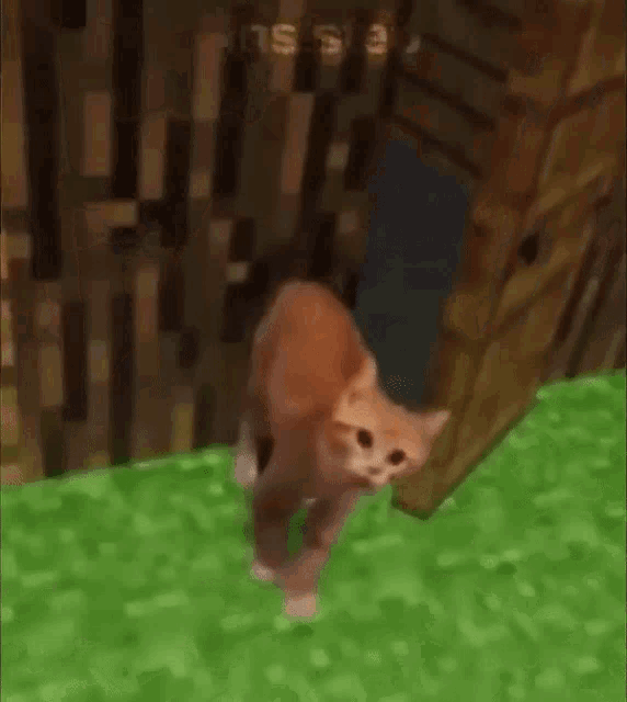 Minecraft Cat GIF - Minecraft Cat Door GIFs