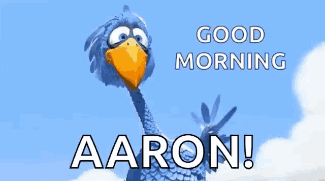 a cartoon bird says good morning aaron with a blue background