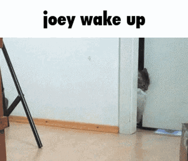 Joey Wake Up Poop Family GIF - Joey Wake Up Poop Family The Poop Family GIFs