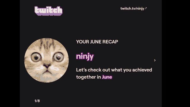 a screenshot of a cat on a twitch channel