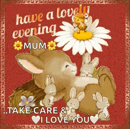 a card that says have a lovely evening mum and take care and i love you