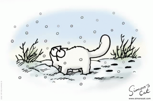 Simon Snow GIF - Simon Snow Cat GIFs