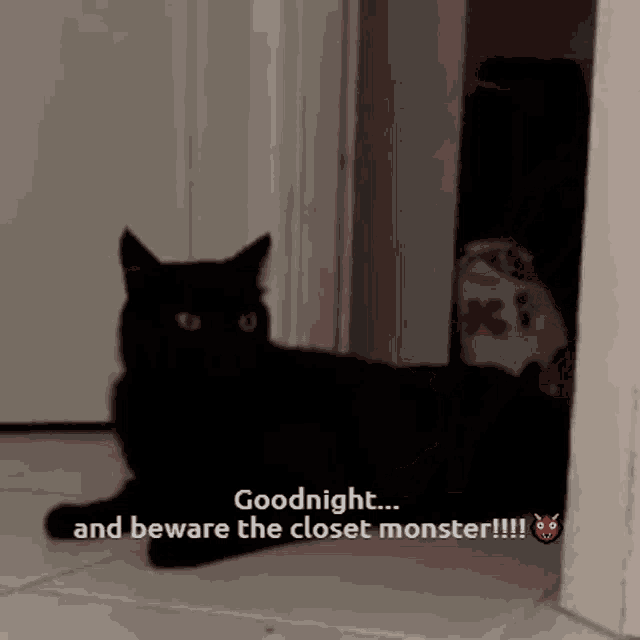 a black cat is laying in a closet and says goodnight and beware the closet monster !!!