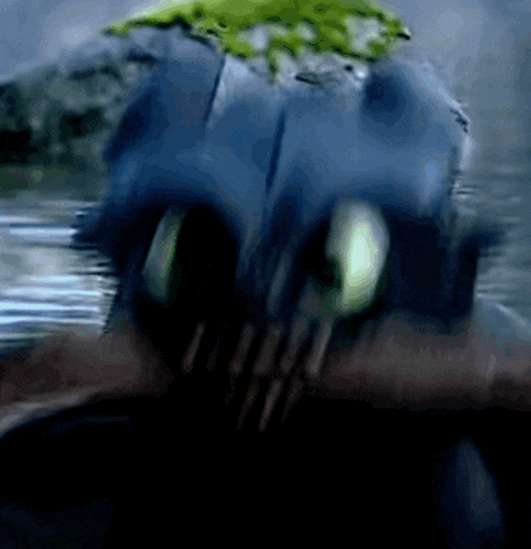 a blurry picture of a person 's face with a green frog on top of it