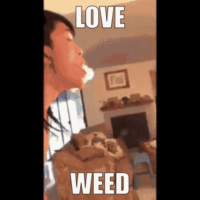 Weed Love GIF - Weed Love Weedlife GIFs