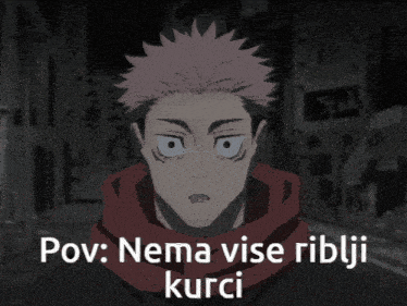 a picture of a person with the caption " pov nema vise riblji kurci " on it