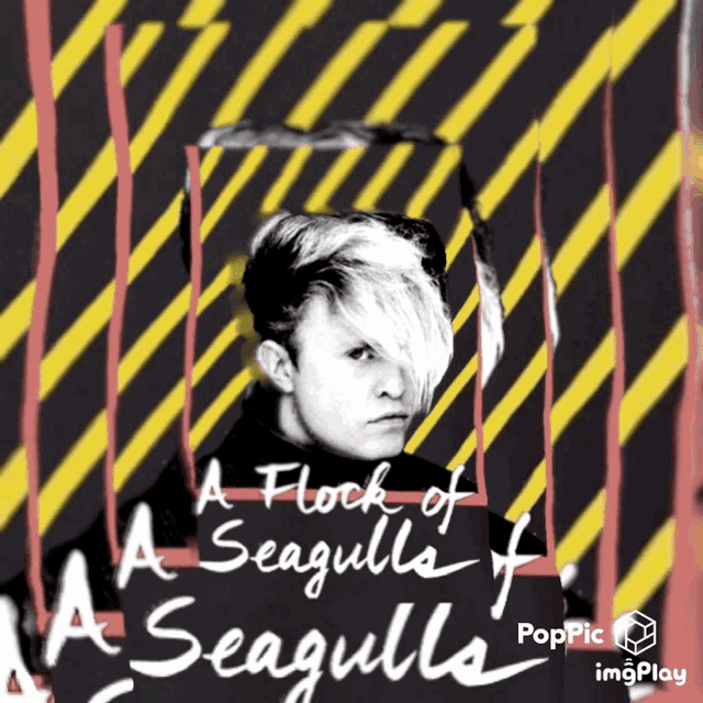 A Flock Of Seagulls Mike Score GIF - A Flock Of Seagulls Mike Score Seagulls GIFs