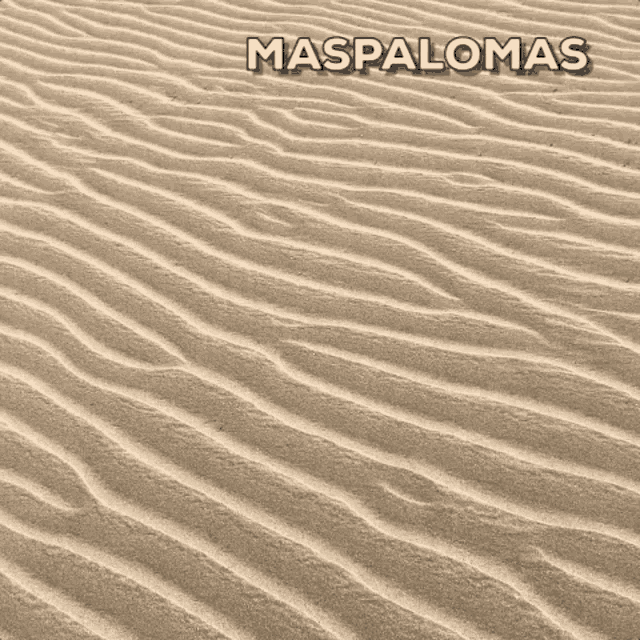 a close up of a sand dune with the words maspalomas written above it