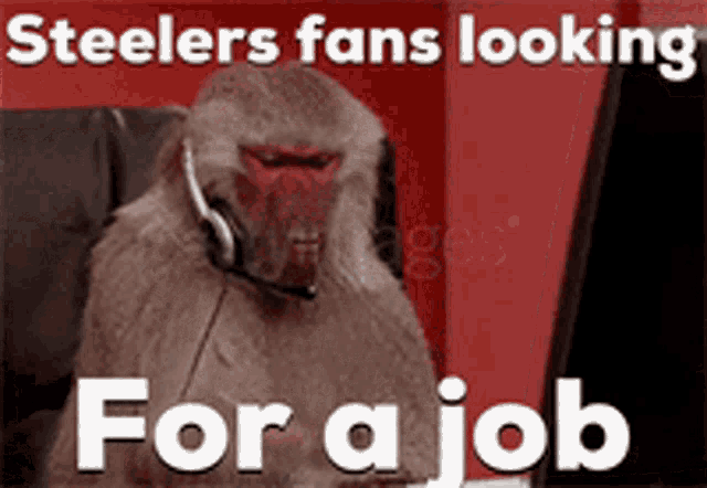 Steelers Fans Steelers GIF - Steelers Fans Steelers GIFs