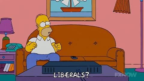 homer simpson is sitting on a couch with a box that says liberals