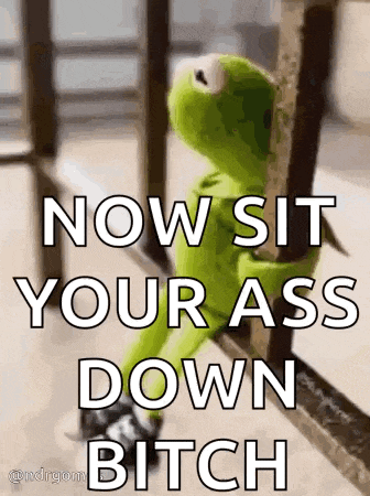 kermit the frog is leaning against a railing with the words `` now sit your ass down bitch '' .