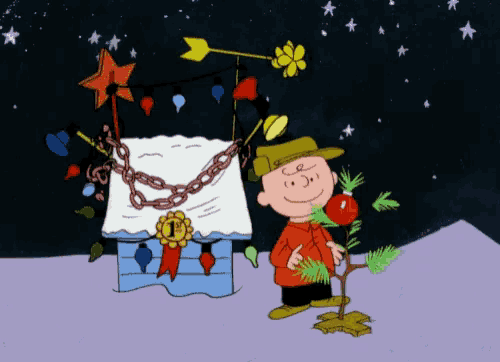 a cartoon of charlie brown holding a christmas tree in front of a house