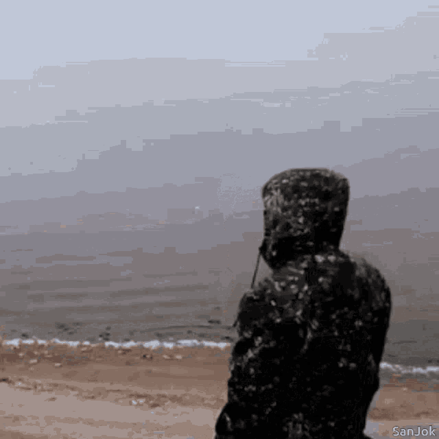 a man in a hooded jacket is standing on a beach