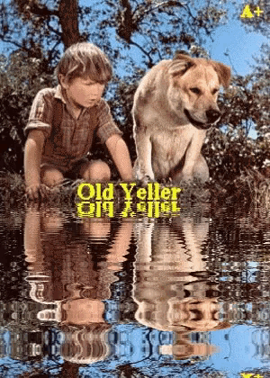 a boy and a dog are playing in the water with the words old yeller on the bottom right