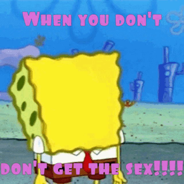 a cartoon of spongebob saying " when you don 't "