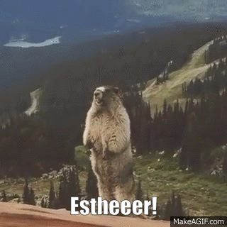 Coolblue Esther GIF - Coolblue Esther GIFs