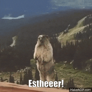 a groundhog standing on its hind legs with the words estheeer written on its face .