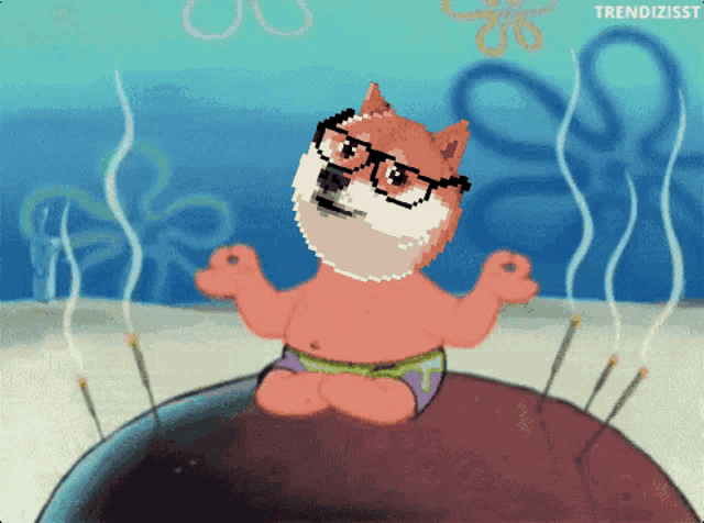 a dog wearing glasses sits on a spongebob squarepants item