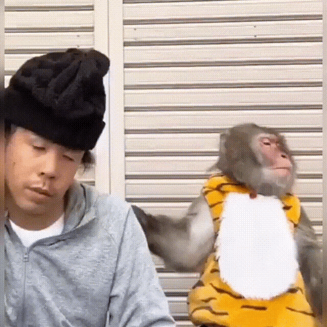 Monkey Shocked By Hair GIF - Monkey Shocked By Hair GIFs