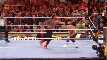 two wrestlers are fighting in a wrestling ring with a crowd watching and the word undisputed title on the bottom