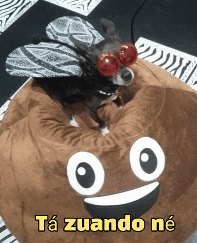 a dog wearing sunglasses and a fly costume is sitting on a pillow that looks like a poop