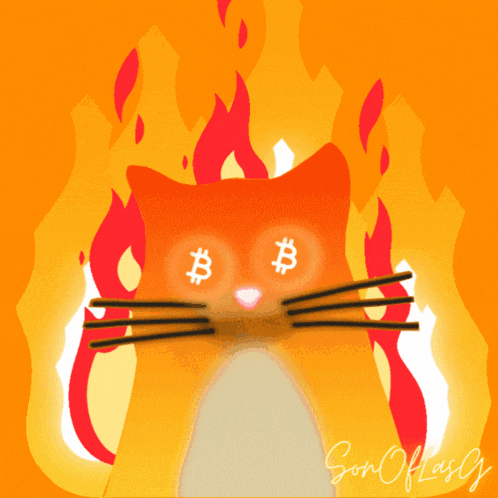 a drawing of a cat with a burning fire behind it and the words son of flag on the bottom