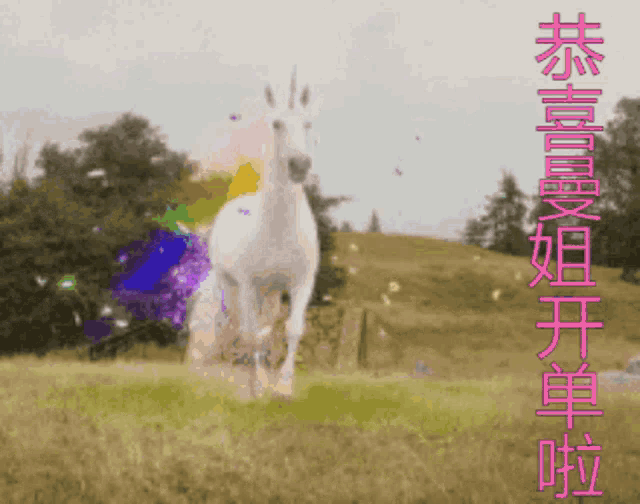 a unicorn in a field with chinese writing on the bottom