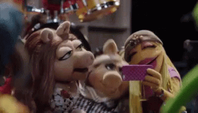 The Muppets Miss Piggy GIF - The Muppets Miss Piggy Shove GIFs