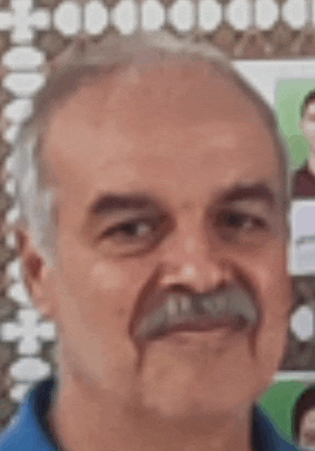 a man with a mustache is wearing a blue shirt and smiling for the camera .
