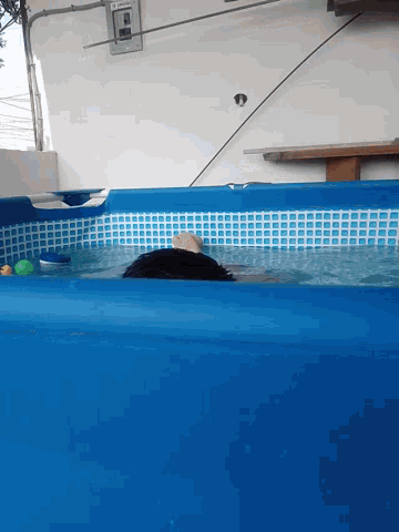 Swimming Pool GIF - Swimming Pool Bath GIFs