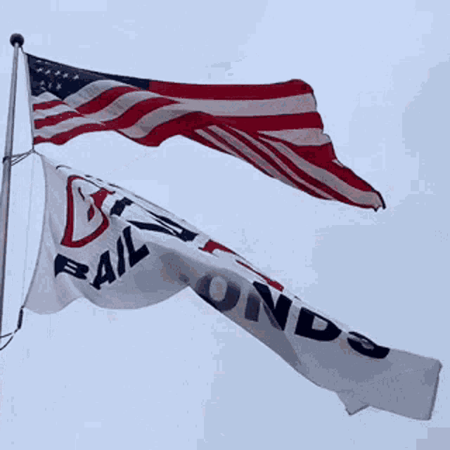 two flags are waving in the wind one of which says " us eal jndc "