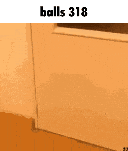 a picture of a door with balls 318 written on it