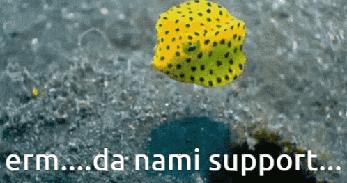 a picture of a fish with the words " erm da nami support " written below it